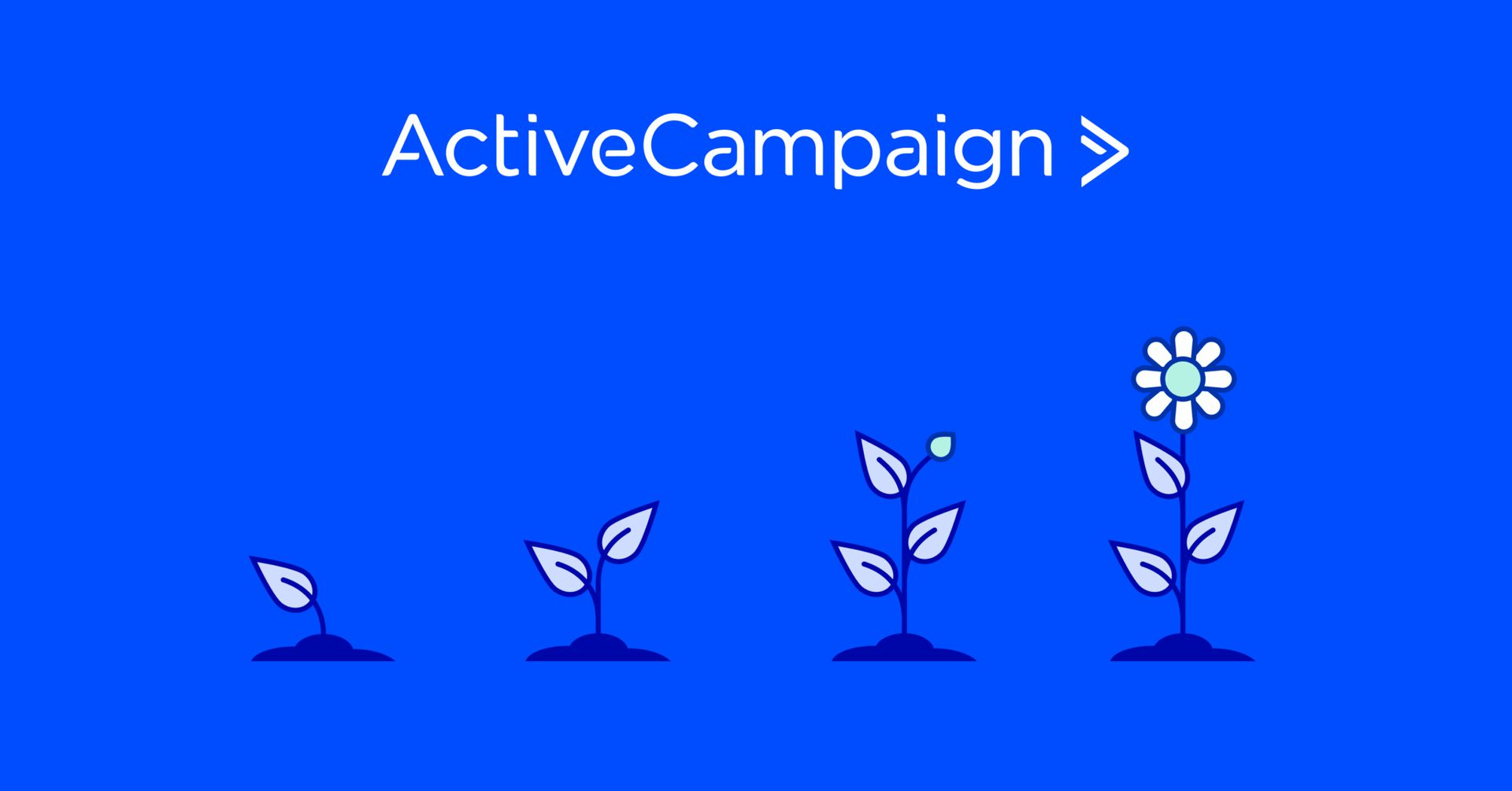 paid vs organic growth