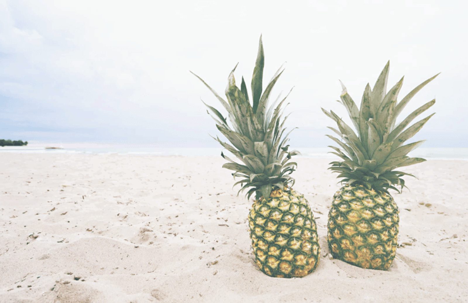 writing blog content