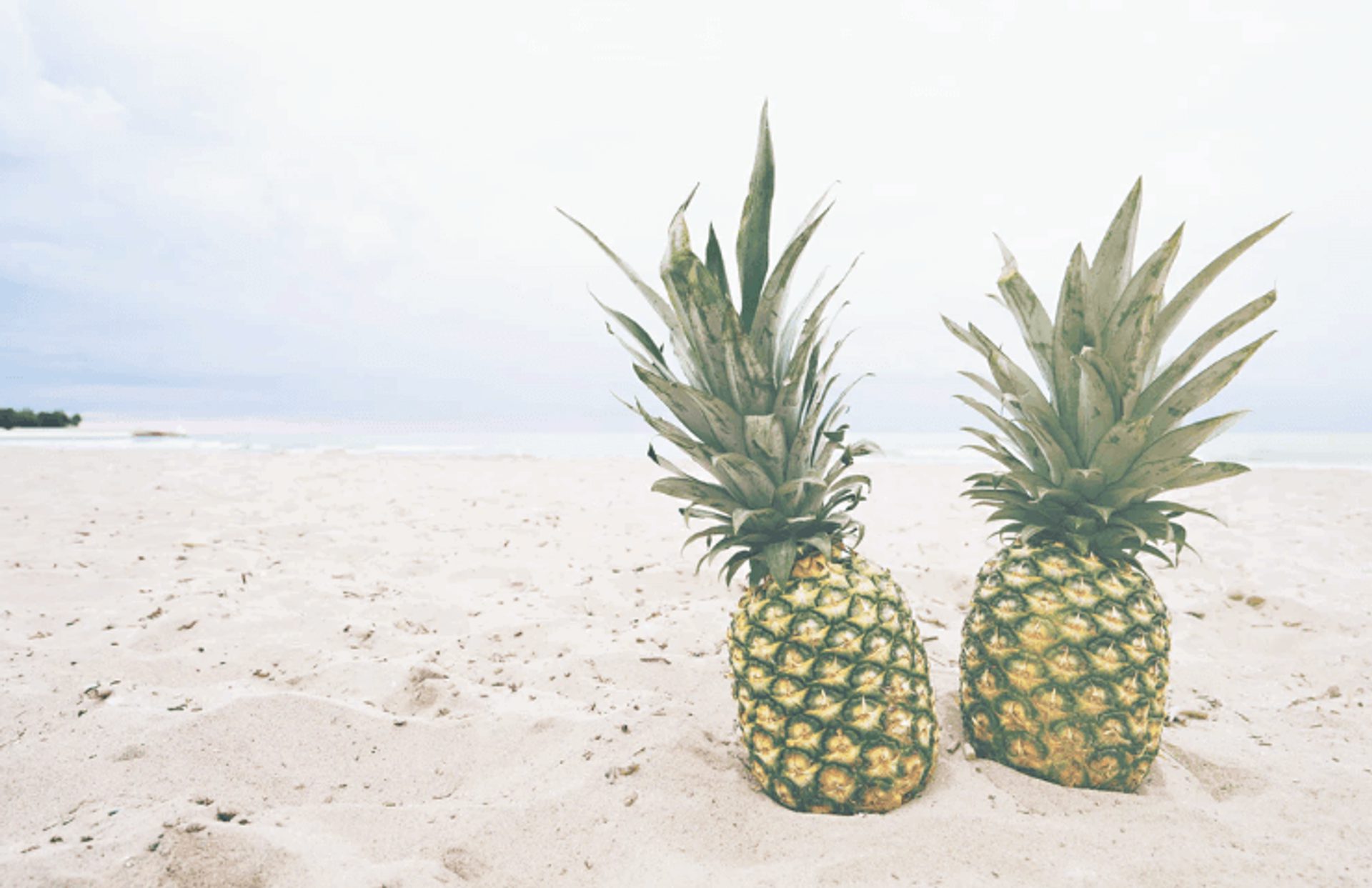 writing blog content