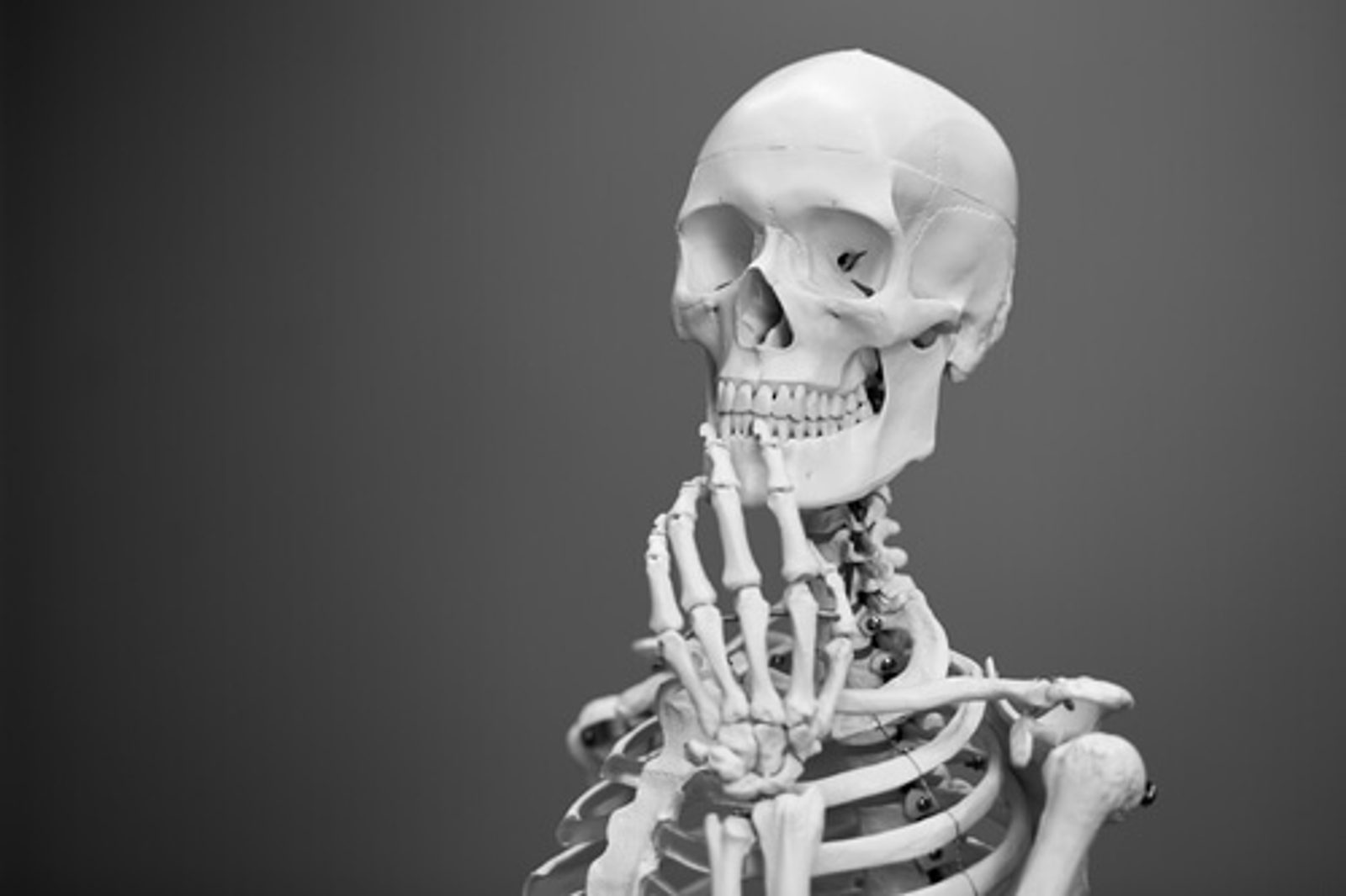 Skeleton thinking about stuff