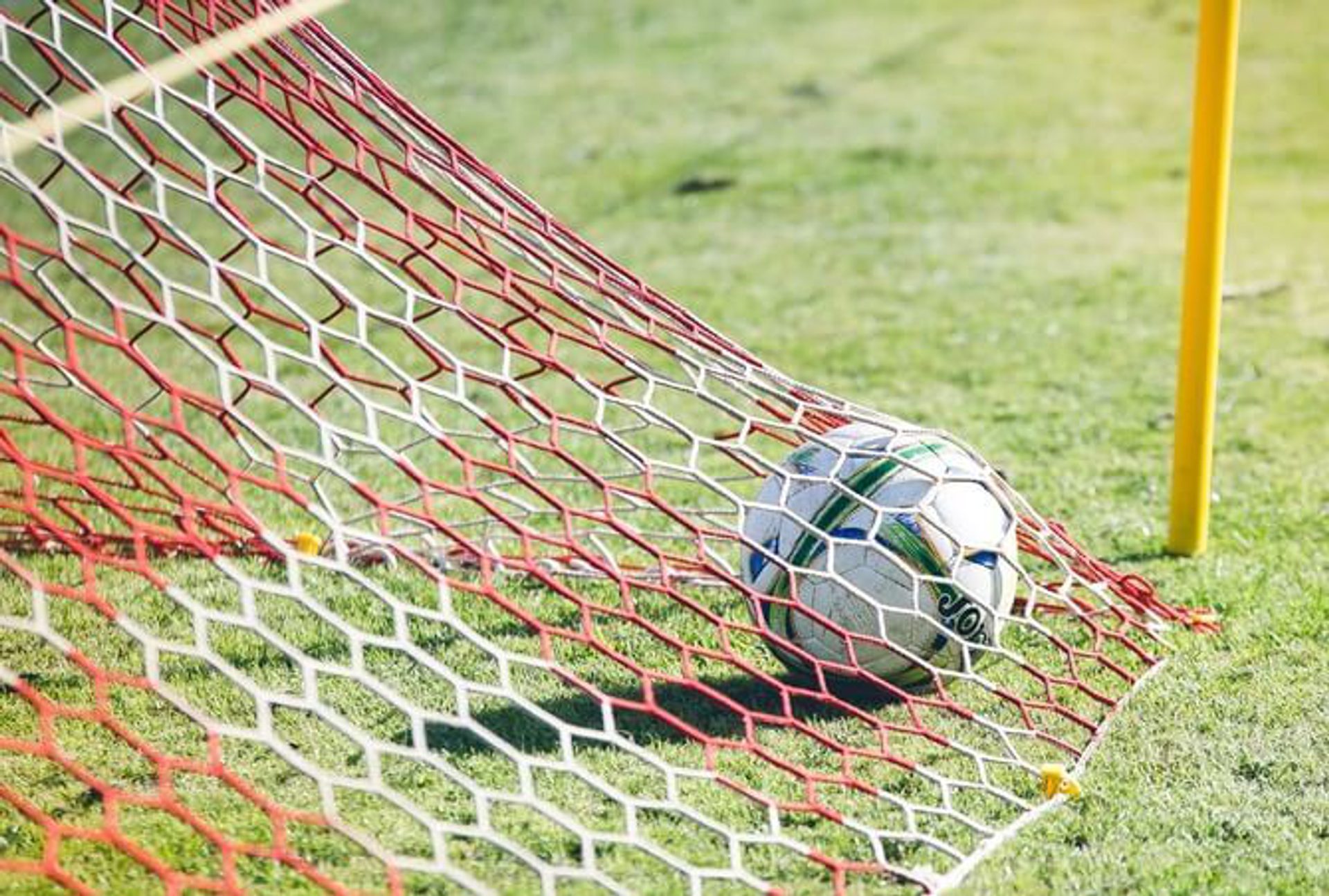 What value do you provide your community?