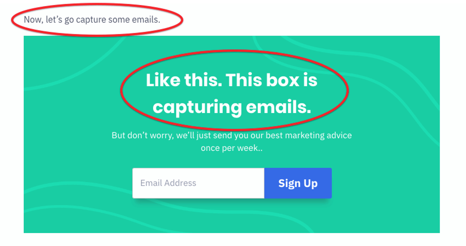 opt-in email capture example