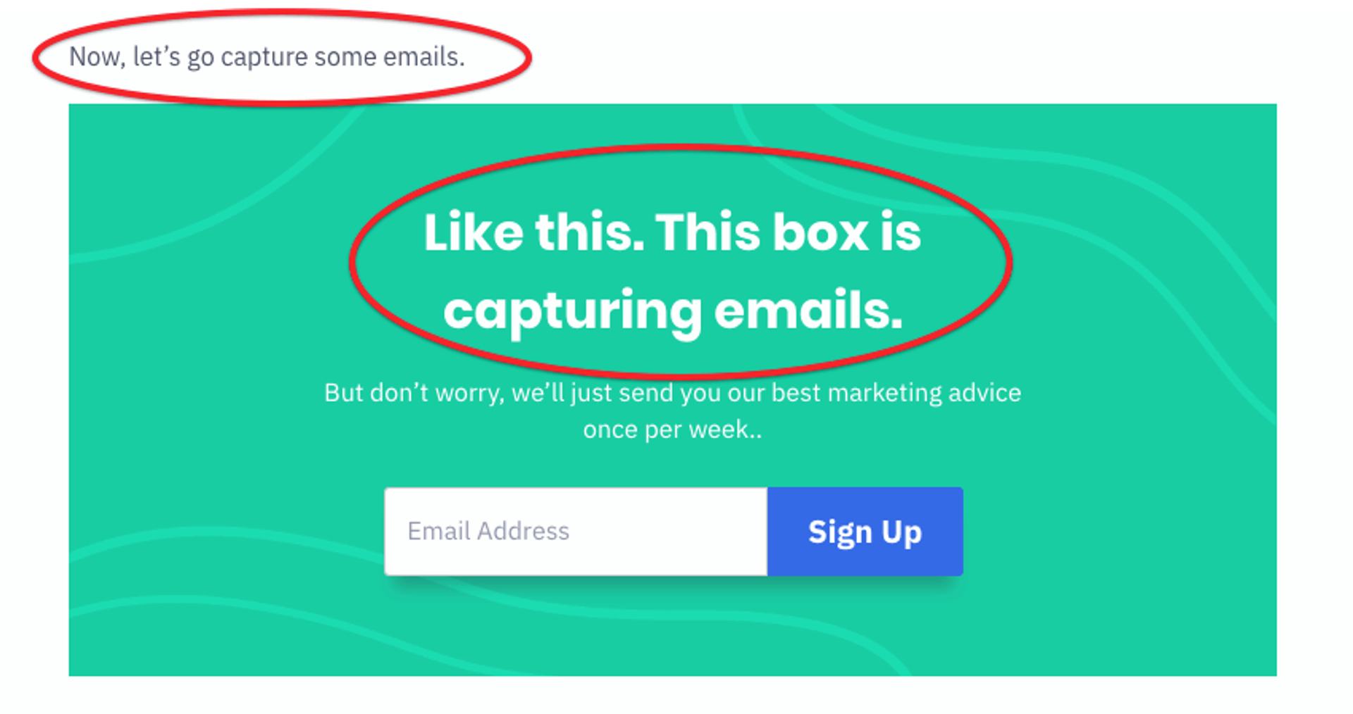 opt-in email capture example
