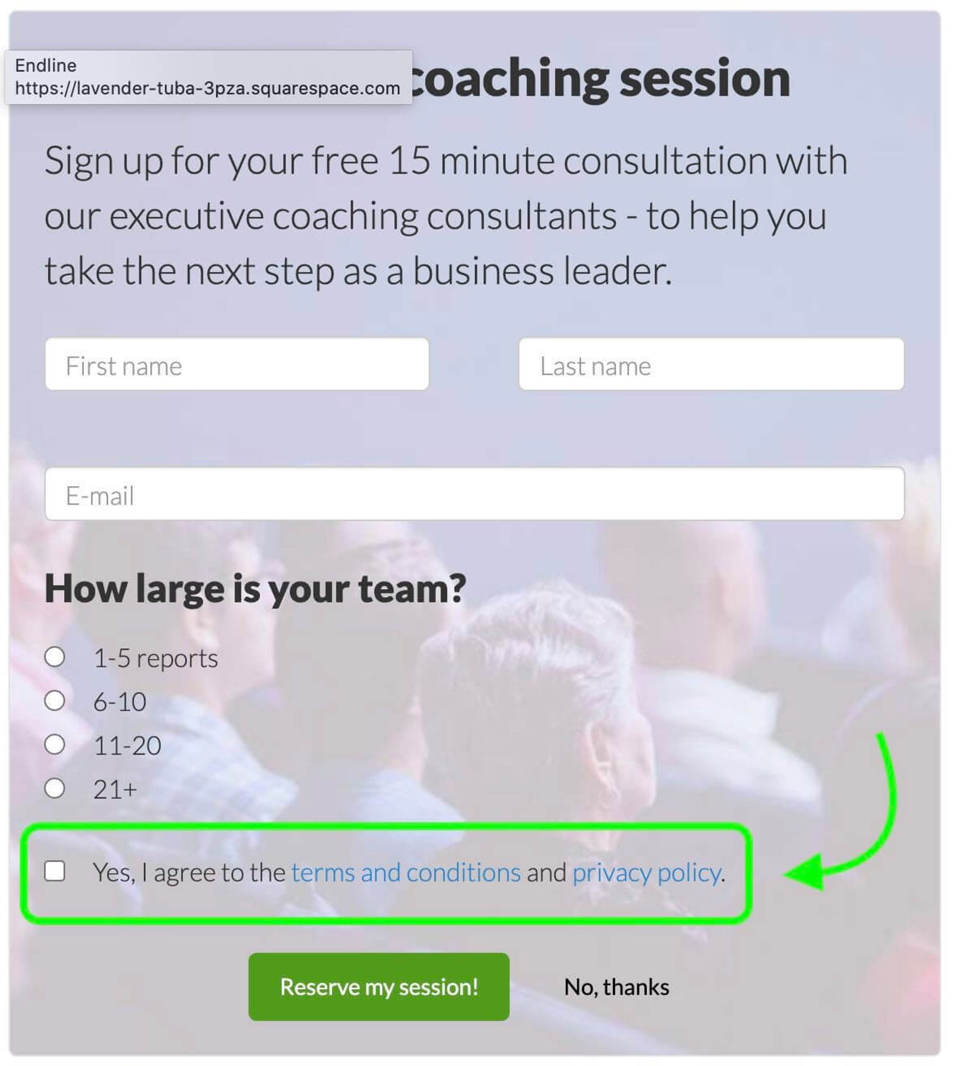 Lead form example with opt-in terms