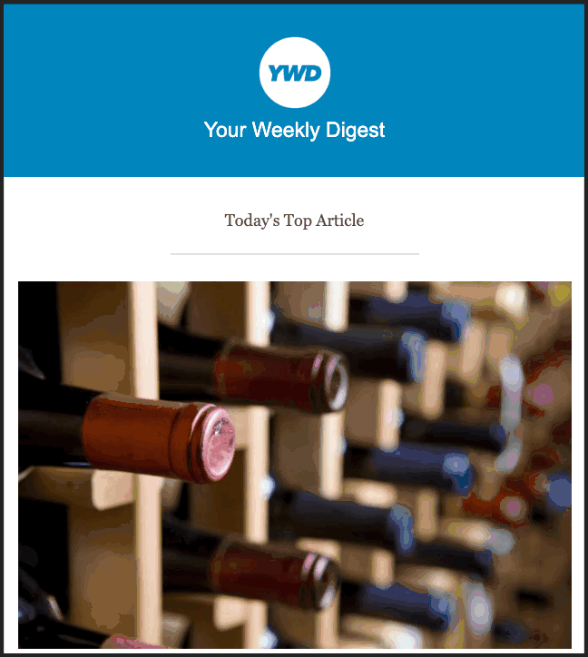 ActiveCampaign digest email newsletter design template