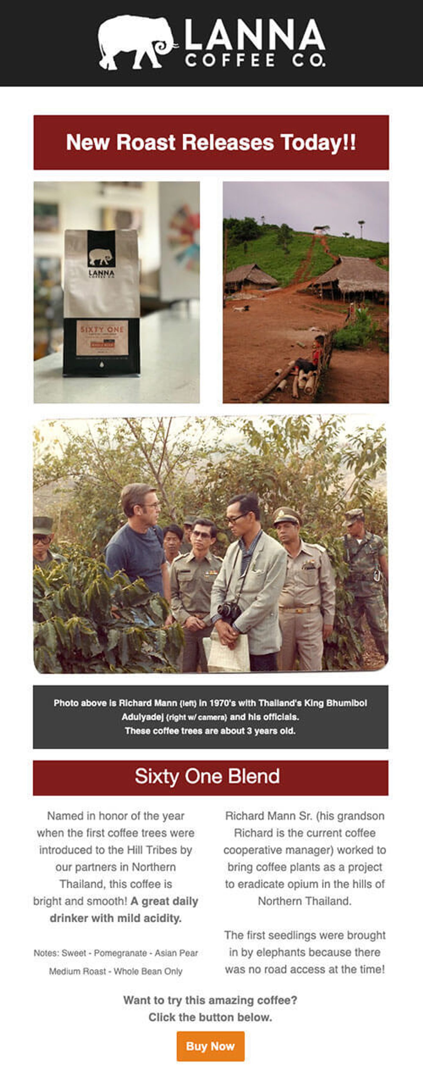 20 Announcement Email Examples to Hype Your Product Launch | ActiveCampaign