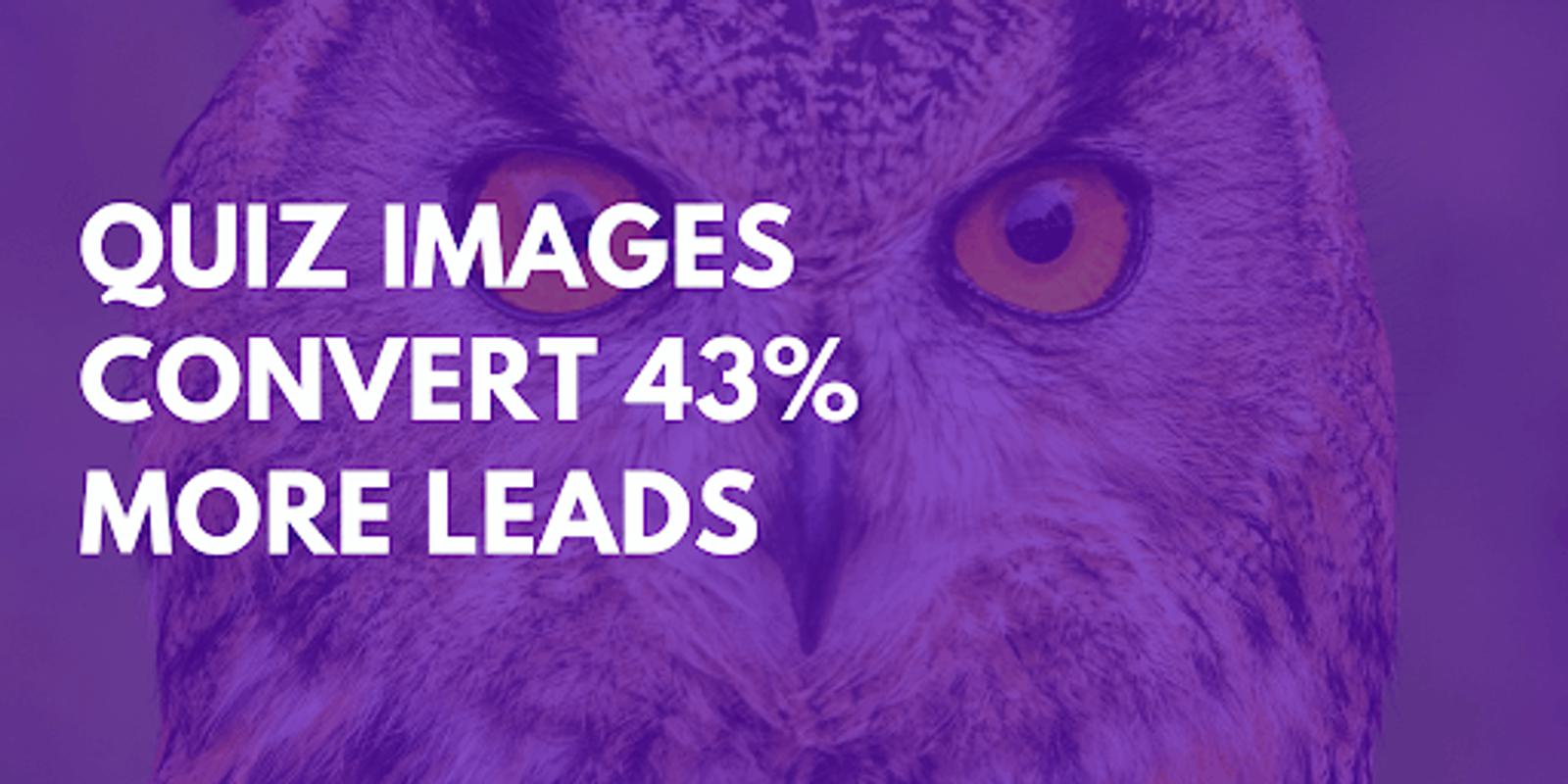 Quiz images convert 43% more leads