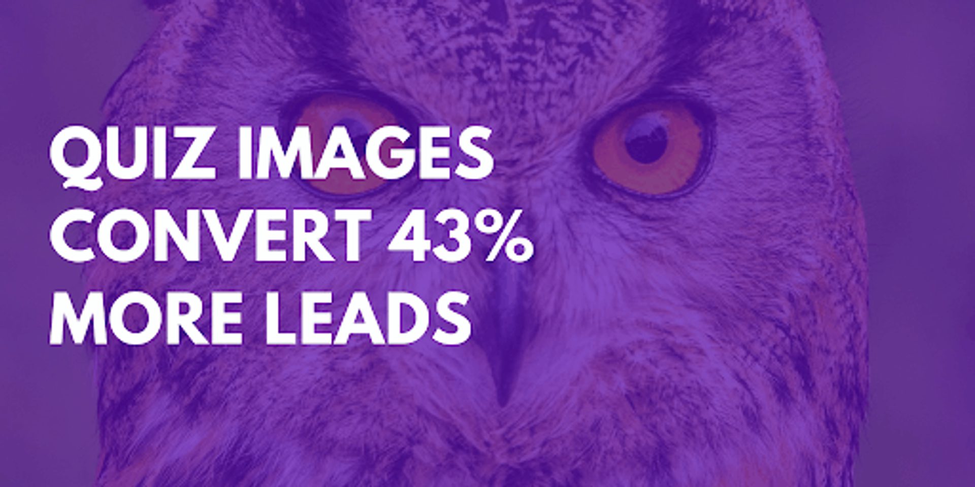 Quiz images convert 43% more leads