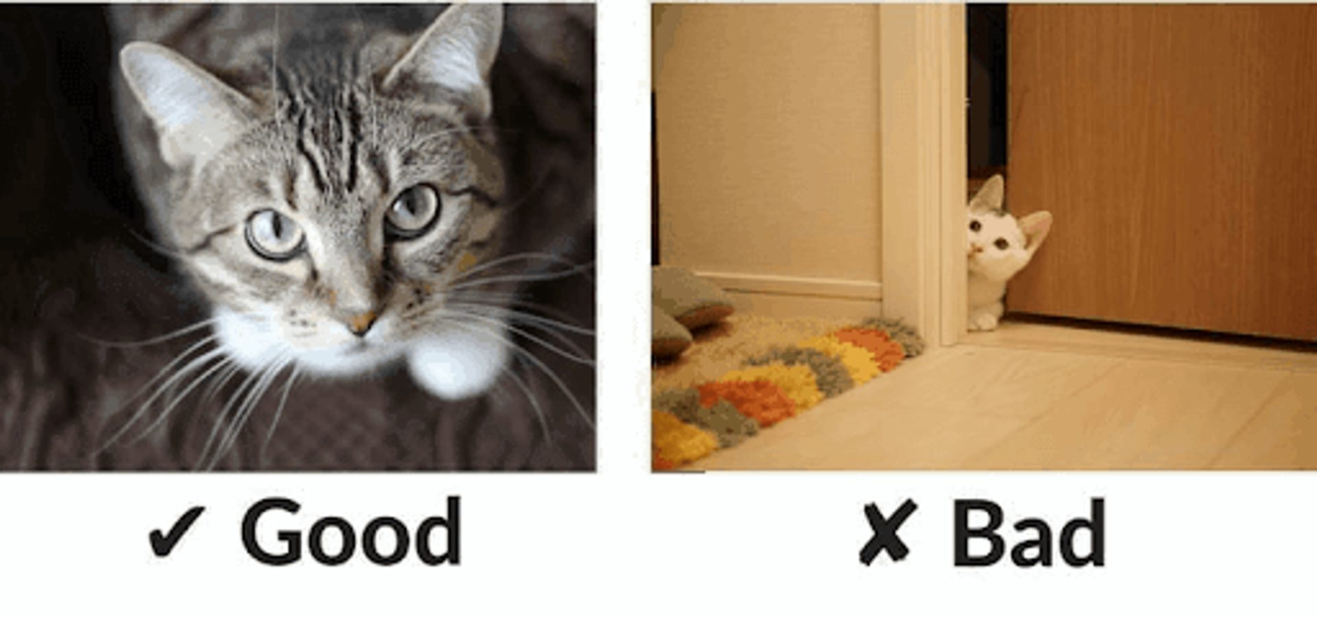 Good image vs bad image