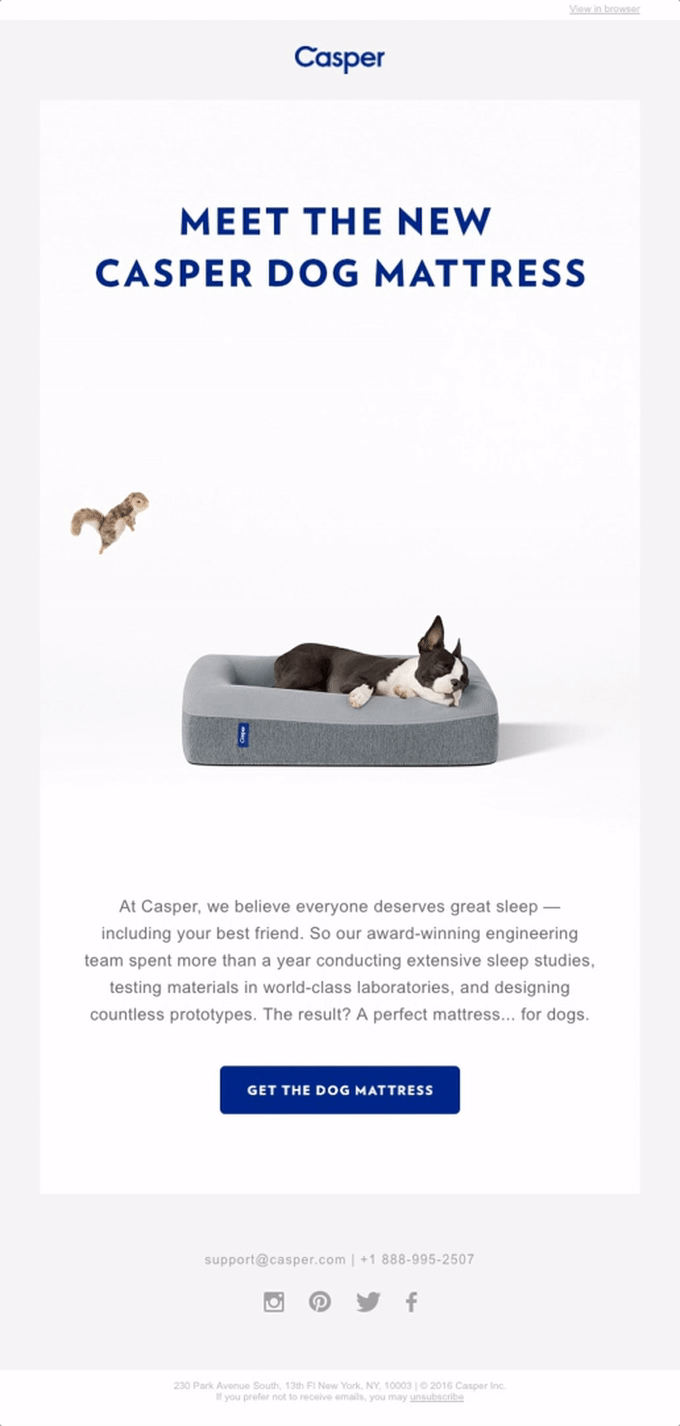 Ankündigungs-E-Mail zur Produkteinführung von Casper mit einem GIF, in dem ein Eichhörnchen über einen Hund springt