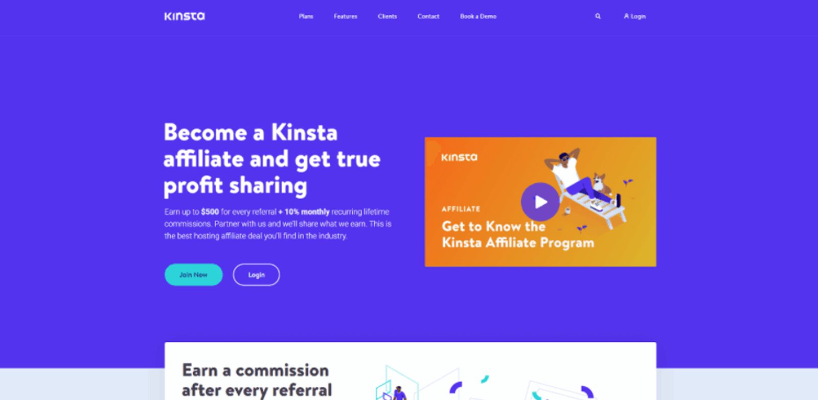 Kinsta website