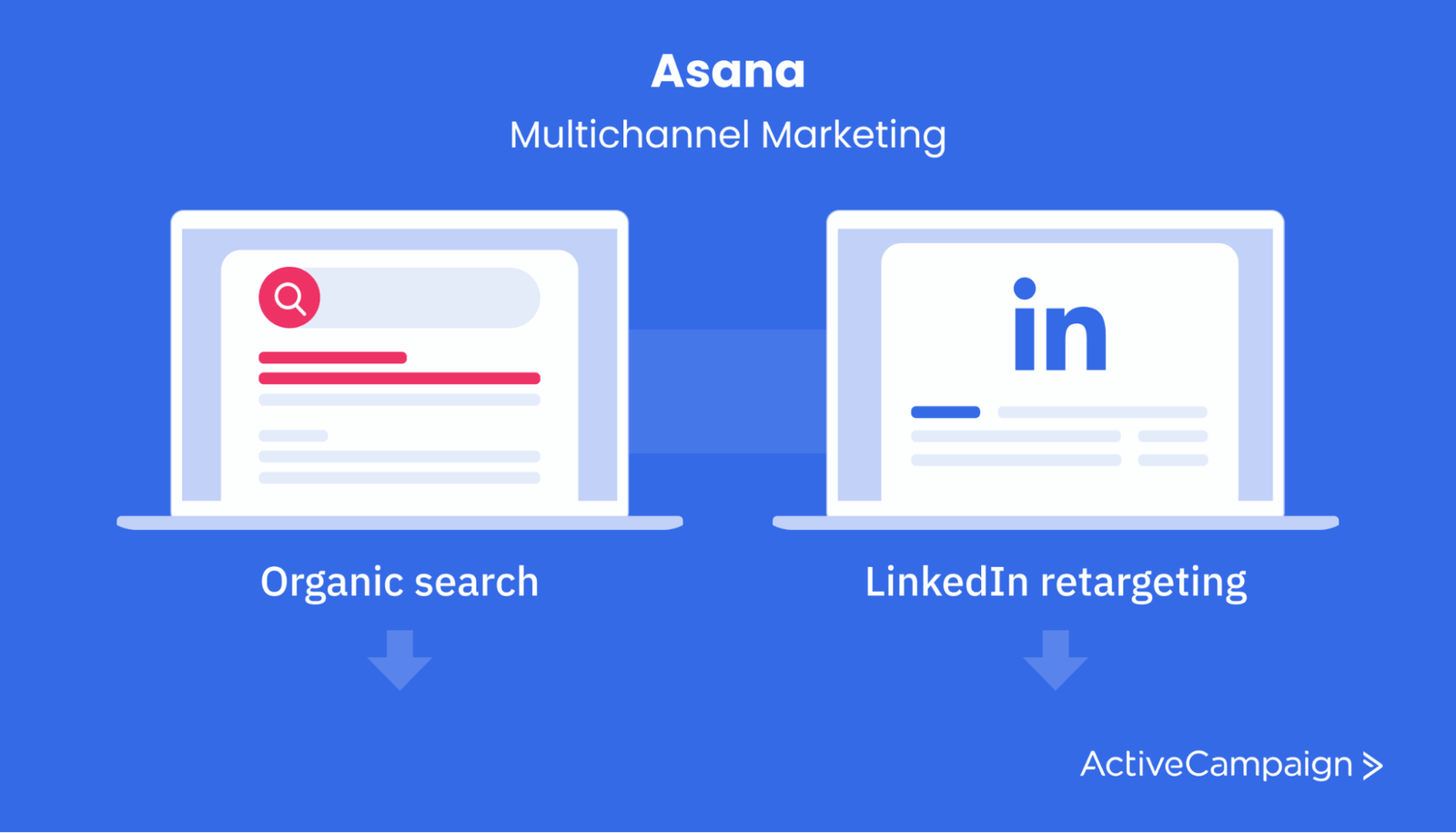 Asana multichannel marketing