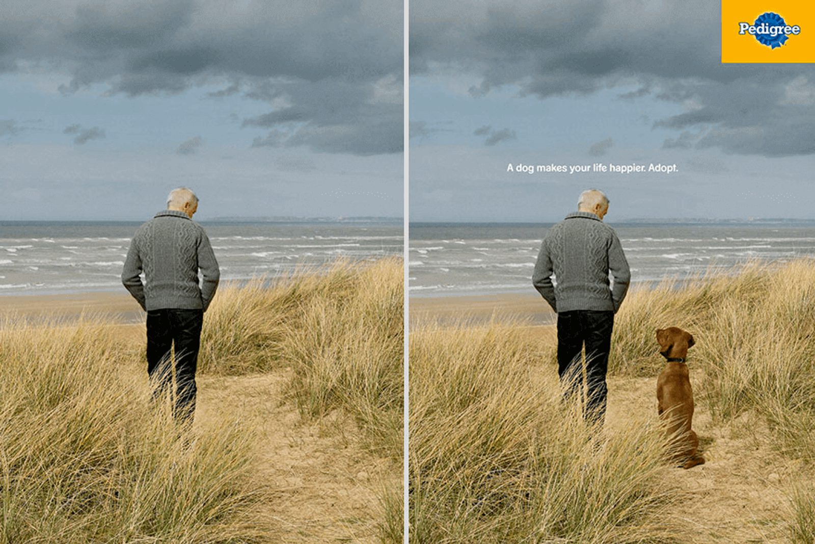 Pedigree Print Ad