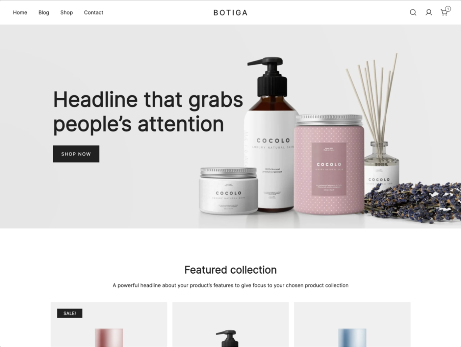 botiga wordpress theme