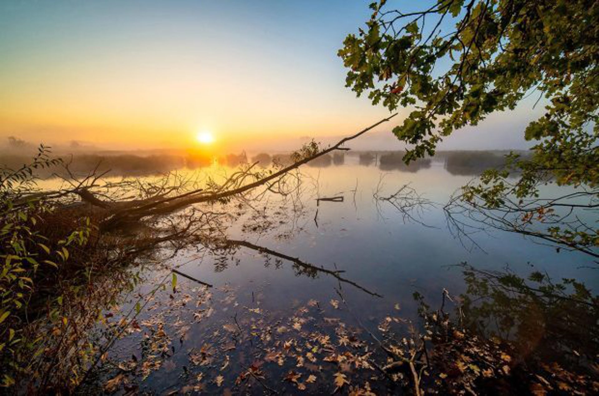 A scenic wetland landscape at sunset