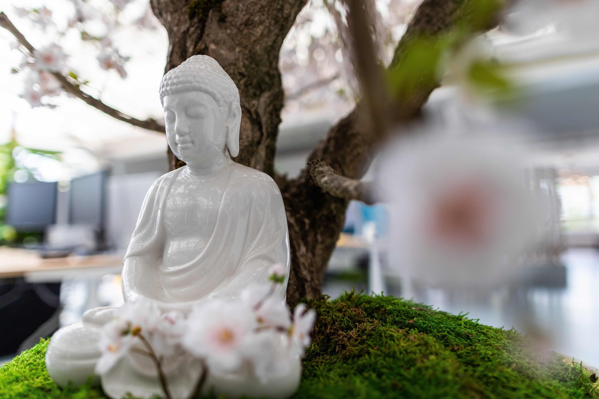 A buddha statue in a garden with a cherry blossom tree